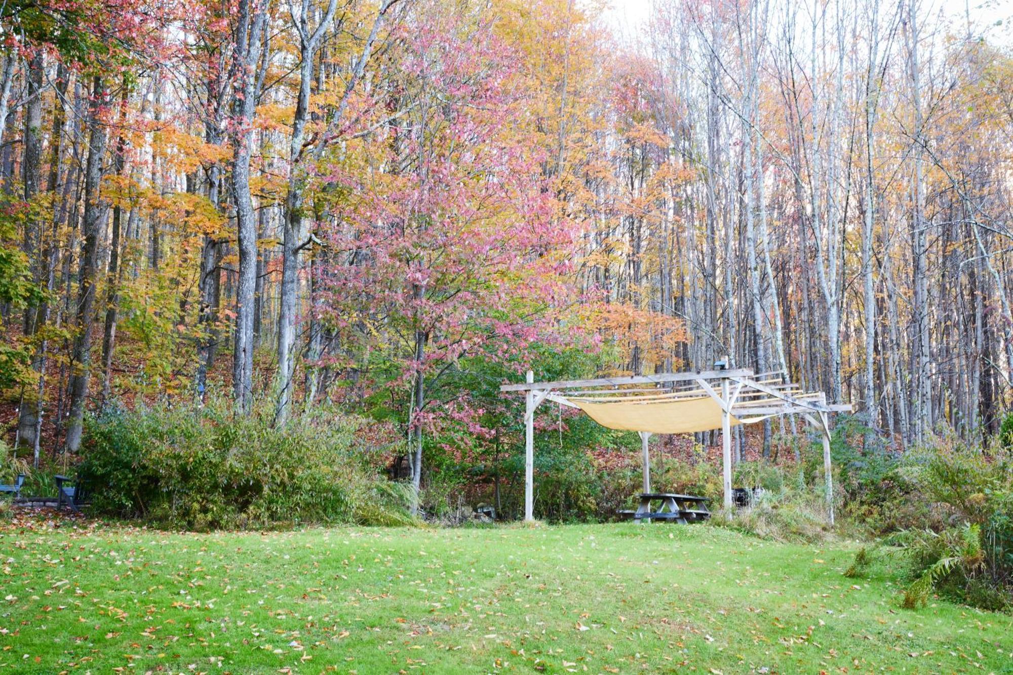 Cozy Cottage With Jacuzzi And Fire Pit And Reading Nook! Livingston Manor Exteriér fotografie